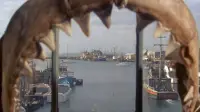 Backdrop to the movie "Jaws" #521012