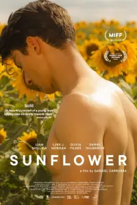 Poster to the movie "Sunflower" #686243