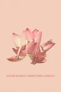 Poster to the movie "Never Rarely Sometimes Always" #1043991