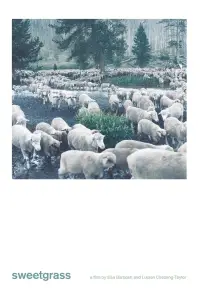 Poster to the movie "Sweetgrass" #1044293