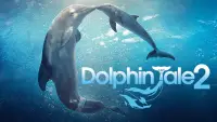 Backdrop to the movie "Dolphin Tale 2" #997927