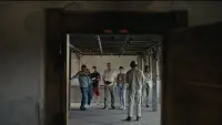 Backdrop to the movie "A Real Pain" #674905