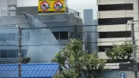 Backdrop to the movie "Hotspring Sharkattack" #797823