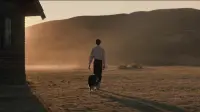 Backdrop to the movie "The Power of the Dog" #727232