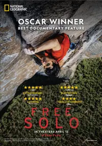 Poster to the movie "Free Solo" #957921