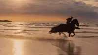 Backdrop to the movie "Clash of the Titans" #819961