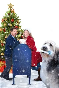 Poster to the movie "Christmas Mail" #781619