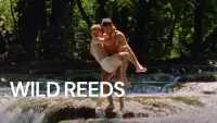 Backdrop to the movie "Wild Reeds" #786404