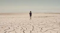 Backdrop to the movie "Desert Lights" #753684