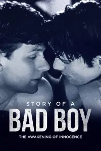 Poster to the movie "Story of a Bad Boy" #1154775