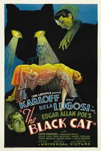Poster to the movie "The Black Cat" #979705