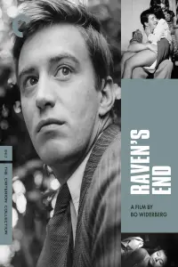 Poster to the movie "Raven