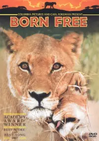 Poster to the movie "Born Free" #987616