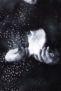 A Place to Call Home