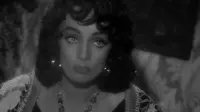 Backdrop to the movie "Touch of Evil" #743646
