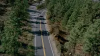 Backdrop to the movie "Shadow of Fear" #827159