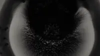 Backdrop to the movie "Michael Gira: I Wonder If I’m Singing What You’re Thinking Me to Sing (Live Solo 2022)" #765650