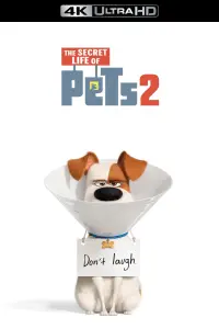 Poster to the movie "The Secret Life of Pets 2" #941624