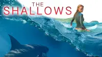 Backdrop to the movie "The Shallows" #81068