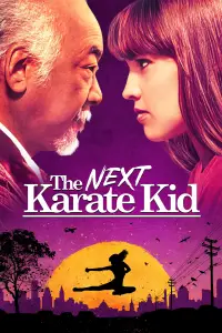 Poster to the movie "The Next Karate Kid" #934331