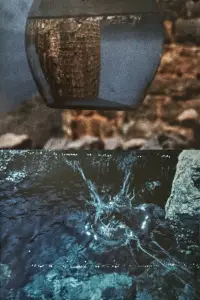 Poster to the movie "Winged Dialogue" #886238