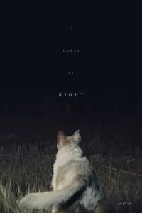 Poster to the movie "It Comes at Night" #135382