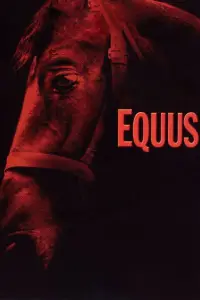 Poster to the movie "Equus" #1179350