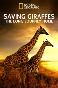 Poster to the movie "Saving Giraffes: The Long Journey Home" #940799