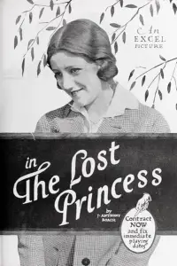 Poster to the movie "The Lost Princess" #1224552