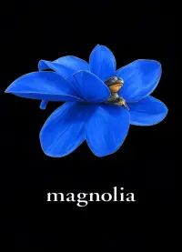 Poster to the movie "Magnolia" #872041