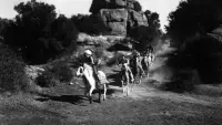 Backdrop to the movie "The Scarlet Horseman" #878096