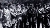 Backdrop to the movie "The Black Panthers: Vanguard of the Revolution" #1103825