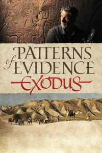 Poster to the movie "Patterns of Evidence: The Exodus" #992063