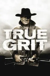 Poster to the movie "True Grit" #961709
