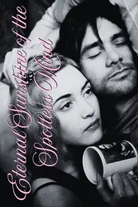 Poster to the movie "Eternal Sunshine of the Spotless Mind" #775756
