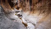 Backdrop to the movie "Into the Grand Canyon" #697835