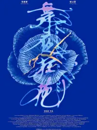 Poster to the movie "Midnight Valerie" #1058053