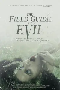 Poster to the movie "The Field Guide to Evil" #998595