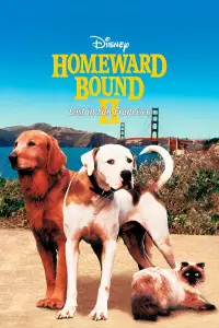 Poster to the movie "Homeward Bound II: Lost in San Francisco" #1036771