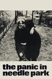 Poster to the movie "The Panic in Needle Park" #1173378