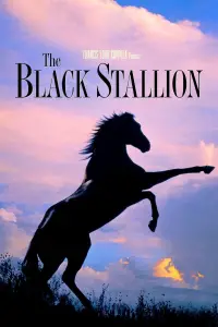Poster to the movie "The Black Stallion" #988559