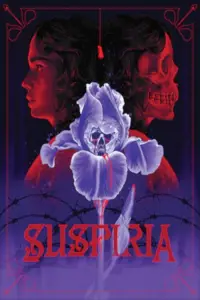 Poster to the movie "Suspiria" #1066872