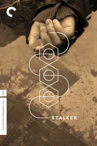 Poster to the movie "Stalker" #984651