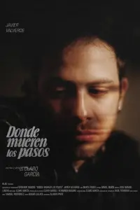 Poster to the movie "Donde mueren los pasos" #766040