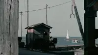 Backdrop to the movie "Floating Weeds" #786470