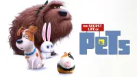 Backdrop to the movie "The Secret Life of Pets" #1021406