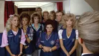Backdrop to the movie "Stewardess School" #756431