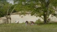 Backdrop to the movie "Instantànies" #792694