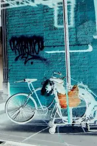 Poster to the movie "Doyer Street" #1096177