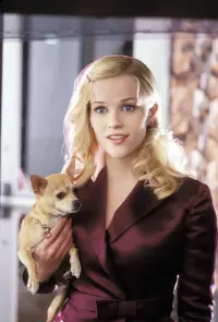 Poster to the movie "Legally Blonde 2: Red, White & Blonde" #712265